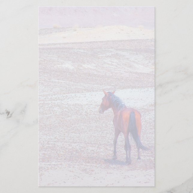Papelería Caballo desierto P8640 (Anverso)