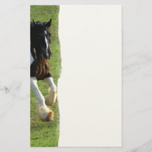 Papelería Caballo gitano Vanner