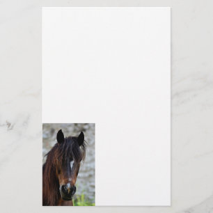 Papelería Caballo hermoso de Brown
