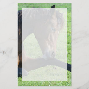 Papelería Caballo marrón bonito en la hierba