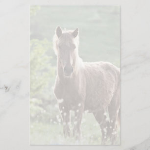 Papelería Caballos