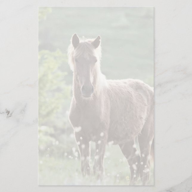 Papelería Caballos (Anverso)