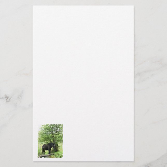 PAPELERÍA CABALLOS (Anverso)