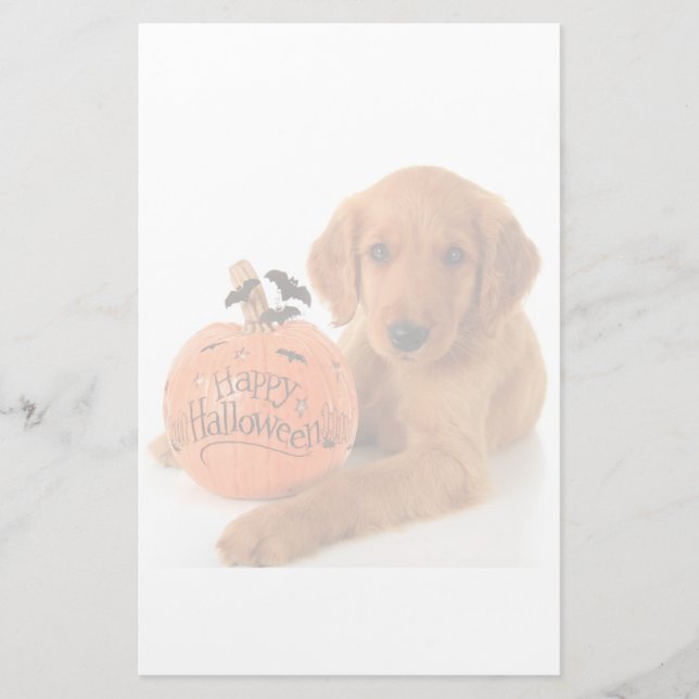 Papelería Cachorro De Halloween Con Calabaza (Anverso)