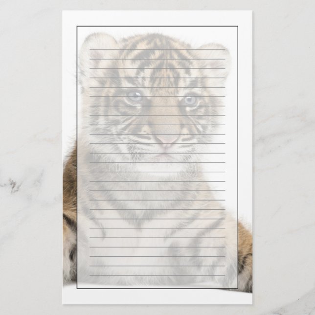 Papelería Cachorro de tigre de Sumatran (Anverso)