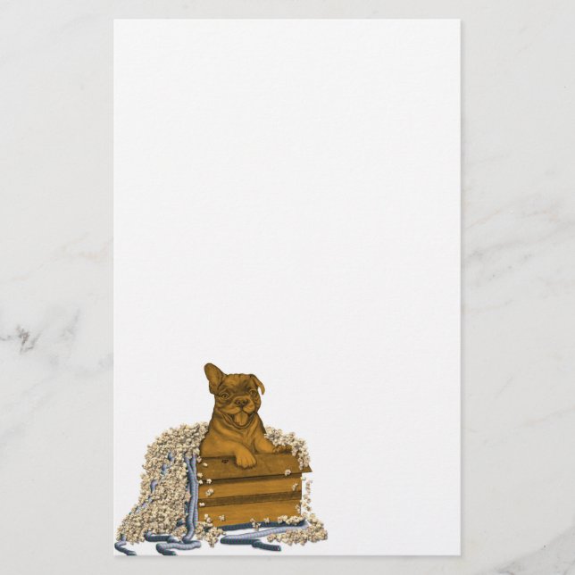 Papelería Cachorro en una caja (Anverso)
