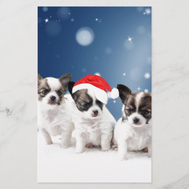 Papelería Cachorros de Chihuahua con Navidades de Santa Hat (Anverso)
