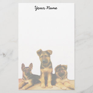 Papelería Cachorros de pastor alemanes estacionados