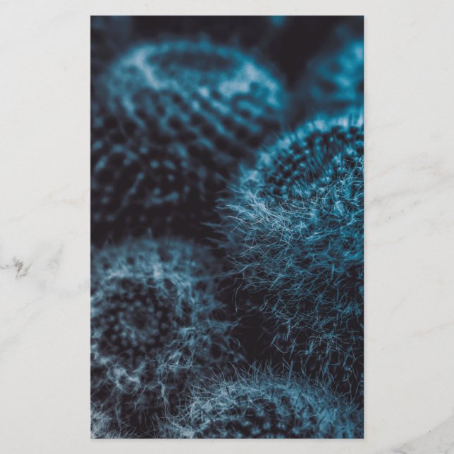 Papelería Cactus oscuro (Anverso)