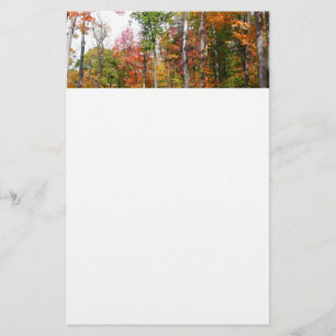 Papelería Caída en la colorida fotografía de otoño en el bos