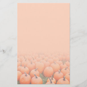 Papelería Calabazas