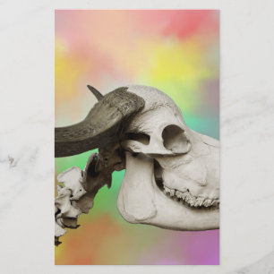 Papelería Calavera de búfalo en fondo acuarela