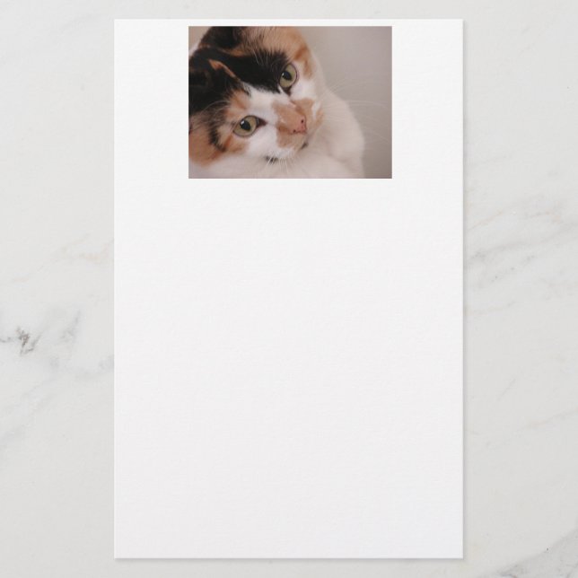 Papelería Calico Beauty Cat (Anverso)