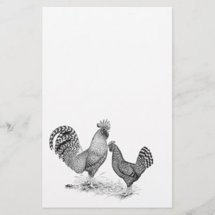 Papelería California Grey Rooster y Hen