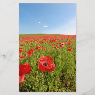 Papelería Campo de amapola - ¡Asombroso!