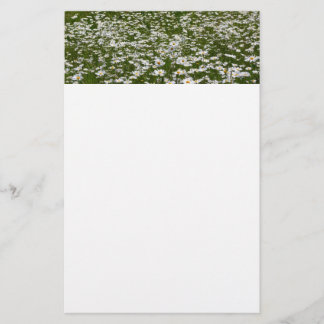 Papelería Campo de flores silvestres de Daisies Alaskan