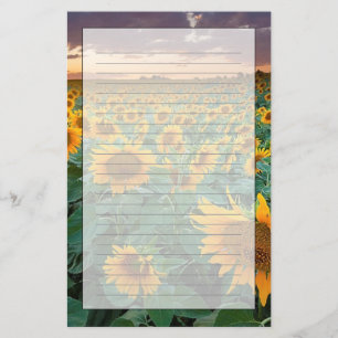 Papelería Campo del girasol en Longmont, Colorado