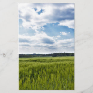 Papelería Campos verdes y cielo azul