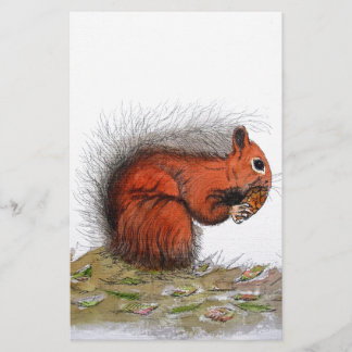 Papelería Cañón de pino de la ardilla roja