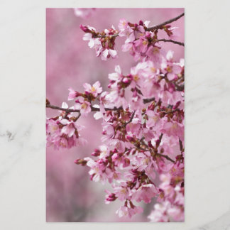 Papelería Capas pastel de rosa de flor de cerezo Sakura