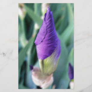 Papelería capullo de iris púrpura