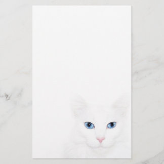 Papelería Cara de gato blanco