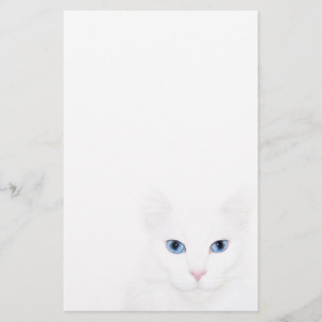 Papelería Cara de gato blanco (Anverso)