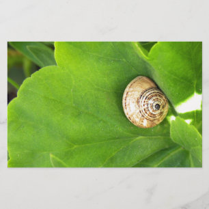 Papelería caracol