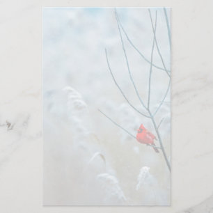 Papelería Cardenal Rojo en Foto de Naturaleza Invernal Navid