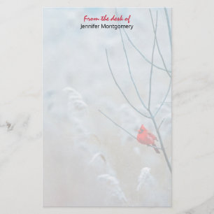 Papelería Cardenal rojo en Navidades de fotografía de natura