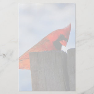 Papelería Cardenal rojo sobre trozos de madera