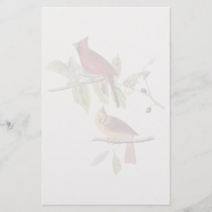 Papelería Cardenal septentrional de Audubon