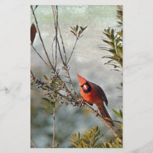 Papelería Cardenal septentrional en la cera Myrtle