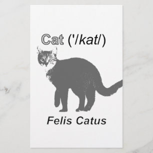 Papelería Cat Felis Catus