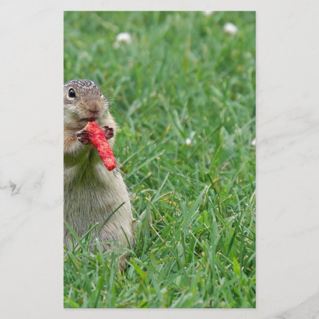 Papelería Chipmunk.JPG (Anverso)