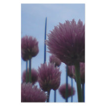 Papelería - Chives Image 1