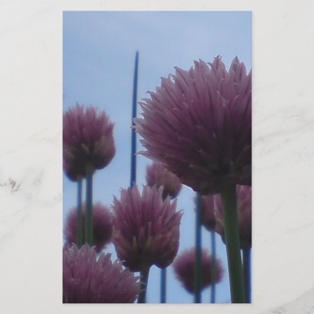 Papelería - Chives Image 1 (Anverso)