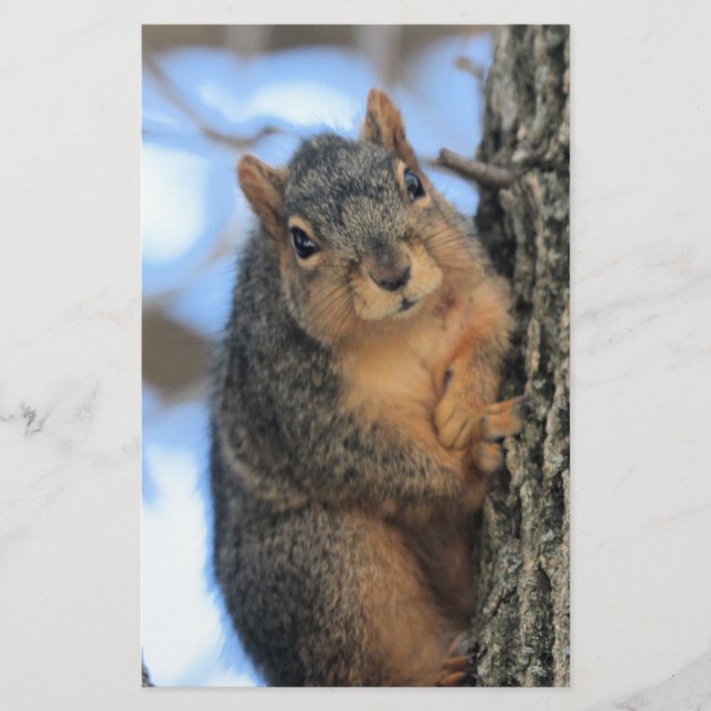 Papelería Chubby (Anverso)