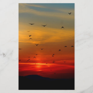 Papelería Cielo atmosférico, puesta de sol, pájaros, hermosa