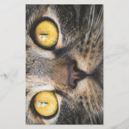 Papelería Cierre de gato con ojos amarillos