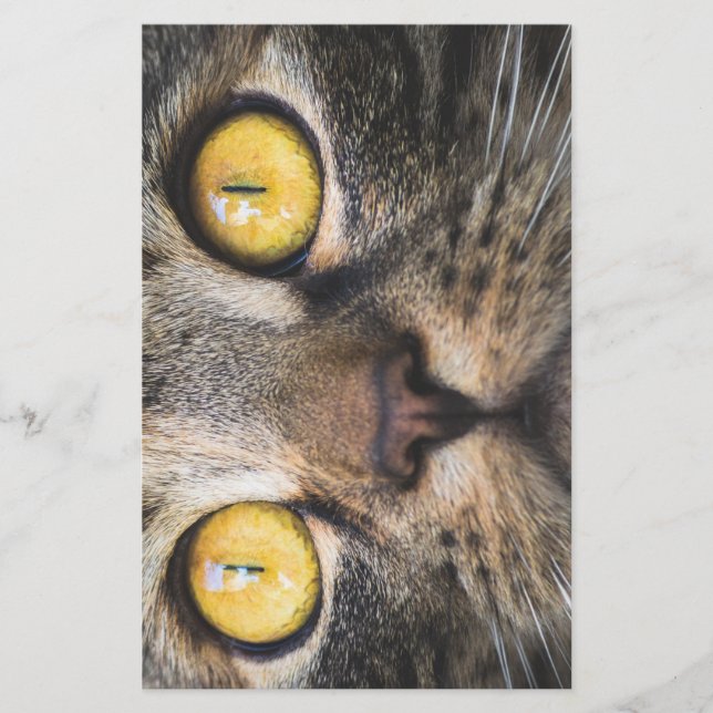 Papelería Cierre de gato con ojos amarillos (Anverso)