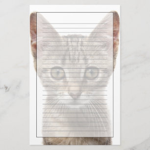 Papelería Ciérrese encima del retrato de un gatito