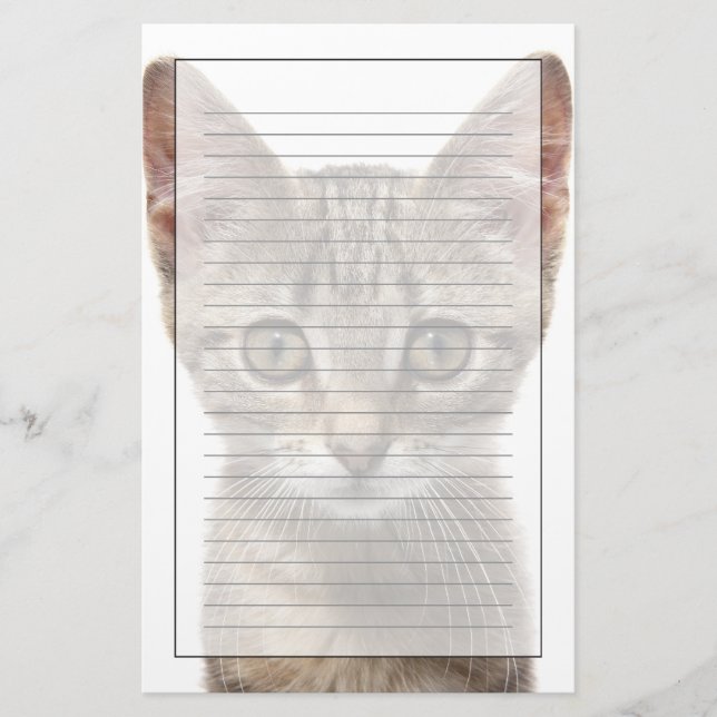 Papelería Ciérrese encima del retrato de un gatito (Anverso)