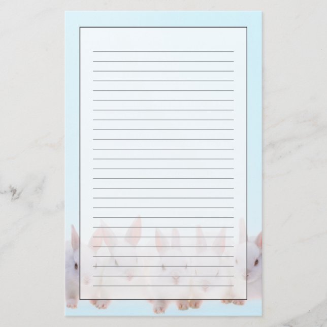 Papelería Cinco conejos (Anverso)