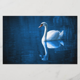 Papelería cisne blanco bonito flotando en un lago azul