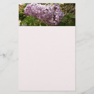 Papelería Clúster de Floral Primaria de Lilac Blossoms