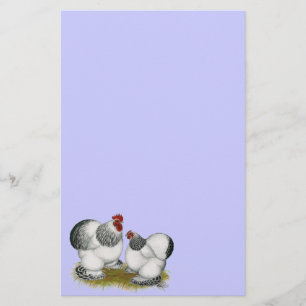 Papelería Cochins: Bantams colombianos