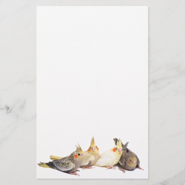 Papelería Cockatiels (Anverso)