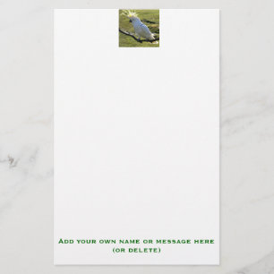 Papelería Cockatoo con crema de azufre en Australia