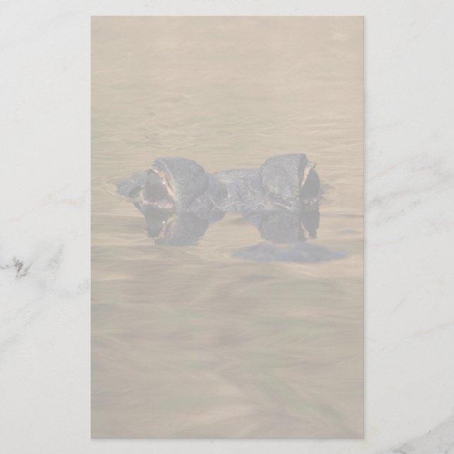 Papelería cocodrilo (Anverso)